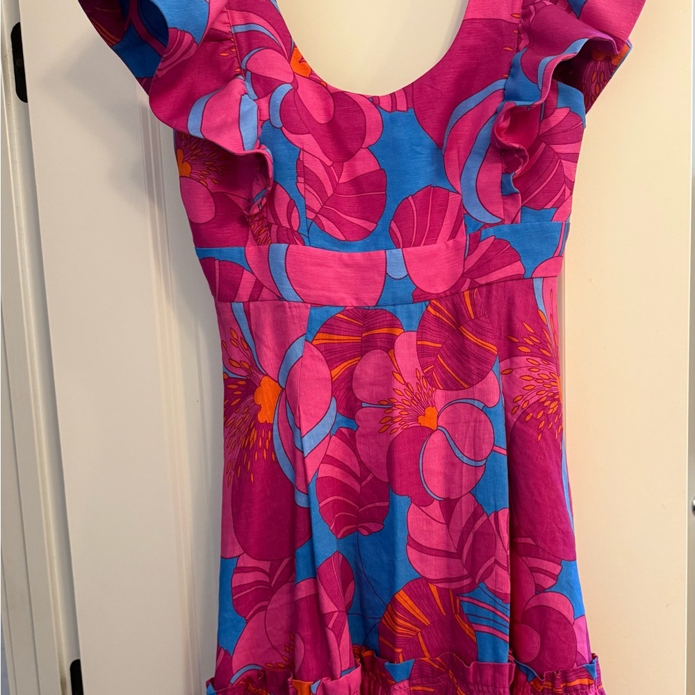 Tuckernuck x Cameron Eubanks pink and blue dress